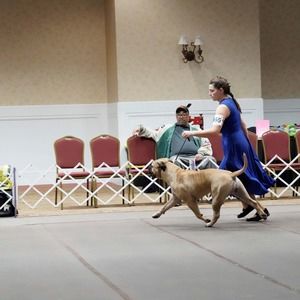 Meet your Posher, Ronie